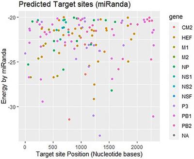 Prediction of Site Directed miRNAs as Key Players of Transcriptional Regulators Against Influenza C Virus Infection Through Computational Approaches